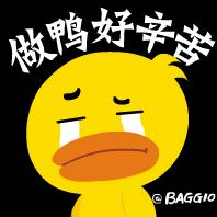 江西正宗鸭做法,活鸭的正宗熬制方法