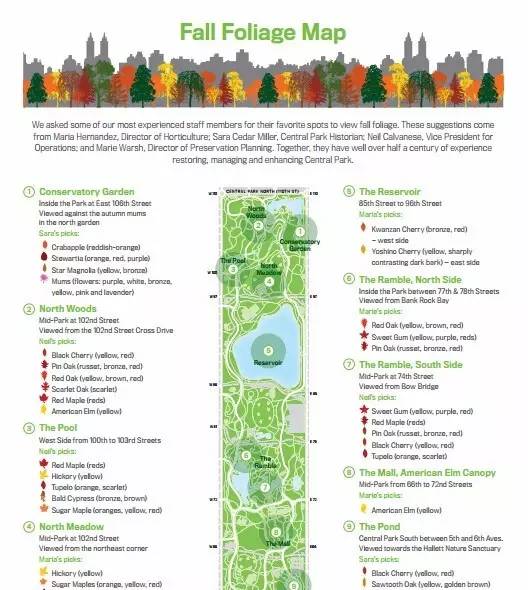 枫叶旅游拍照技巧,春季赏枫叶拍照技巧