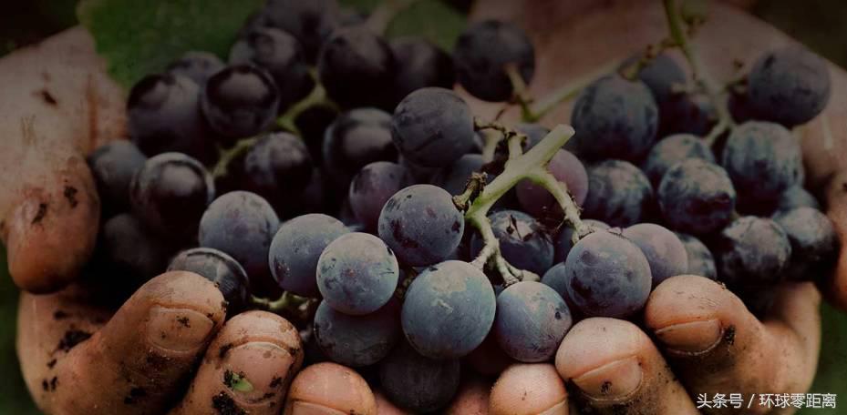 让拉伯克来告诉你,德州的无敌魅力!