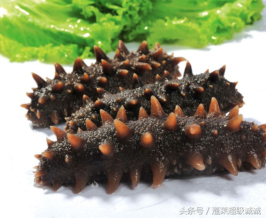 孕妇怎样吃海参营养最好,海参怎么吃好吃又营养