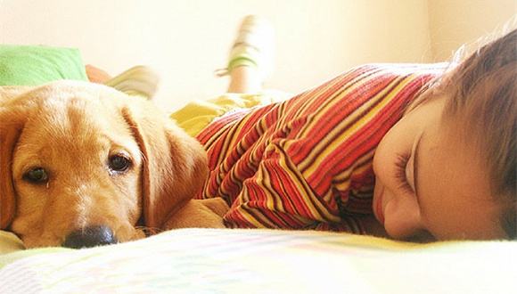 能让狗狗开心的话,让狗狗开心的几句话有哪些