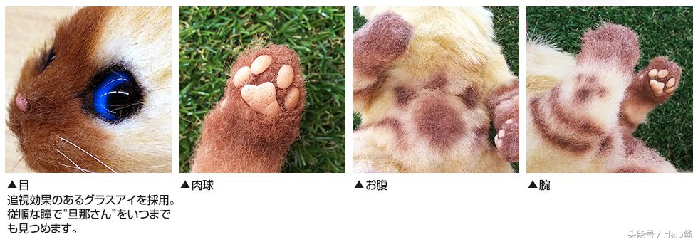 怪物猎人艾露猫孙悟空,怪物猎人艾露猫