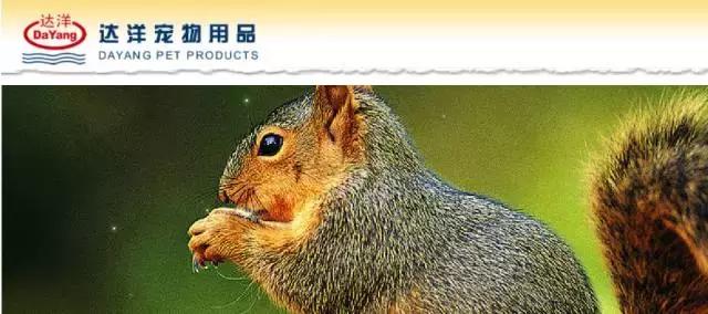 亚宠展第二弹的宠物,亚宠展有爬宠吗