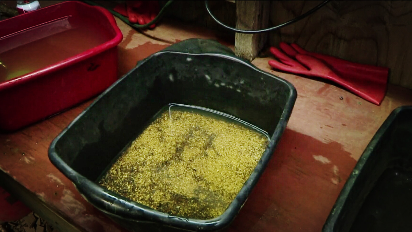 黄金怎么采出来的视频,黄金是如何提炼出来的视频