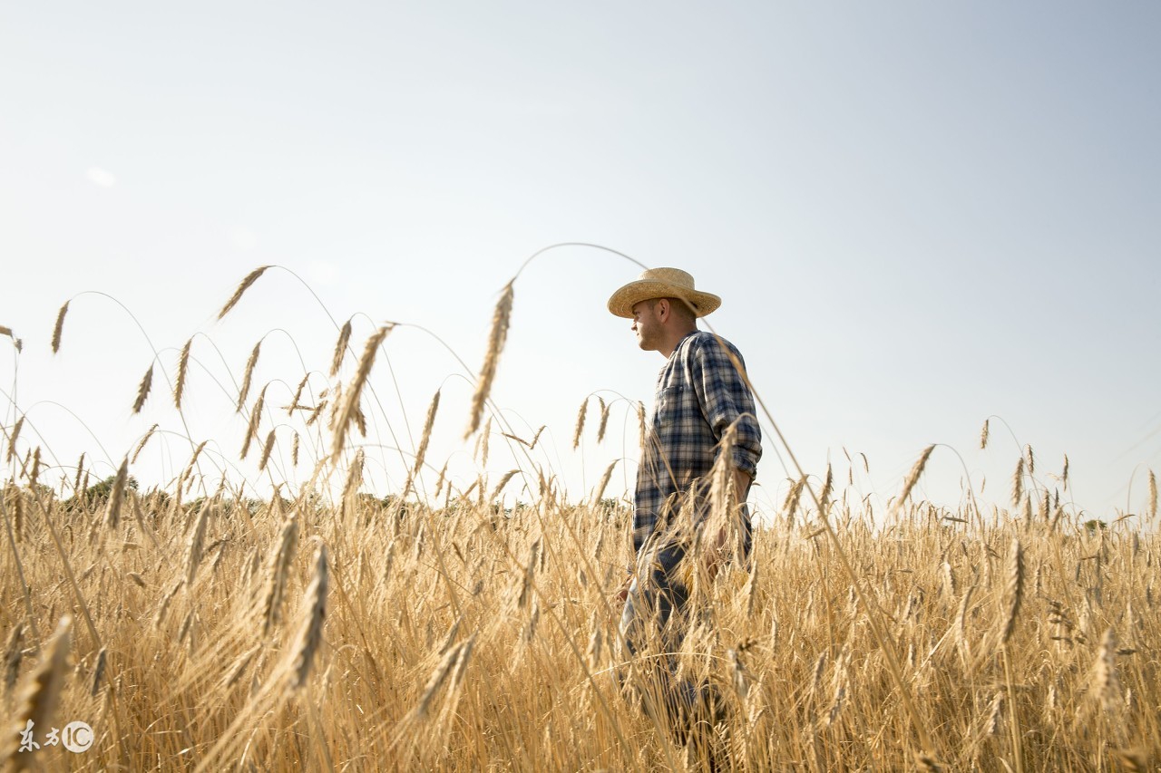 女孩半夜鬼上身完整版,夜半鬼上身的女孩