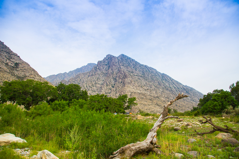 最美不过宁夏塞上江南,塞上江南大漠