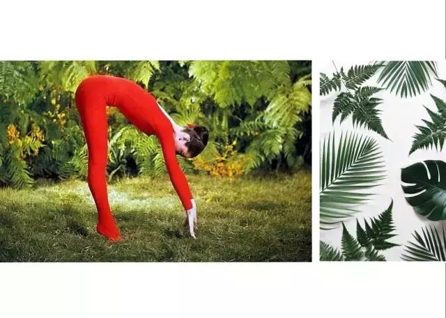 奥黛丽赫本的时代以什么为美,奥黛丽赫本优雅永不过时视频