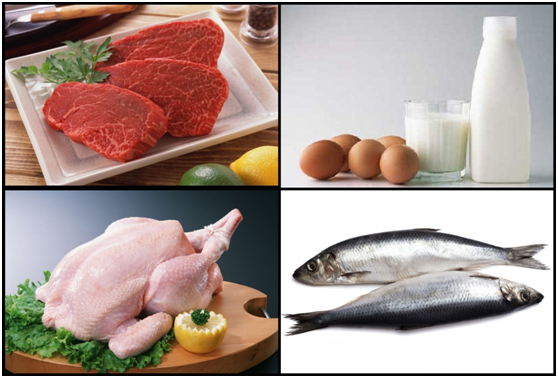 什么牌子的蛋白粉最好,如何选择优质蛋粉