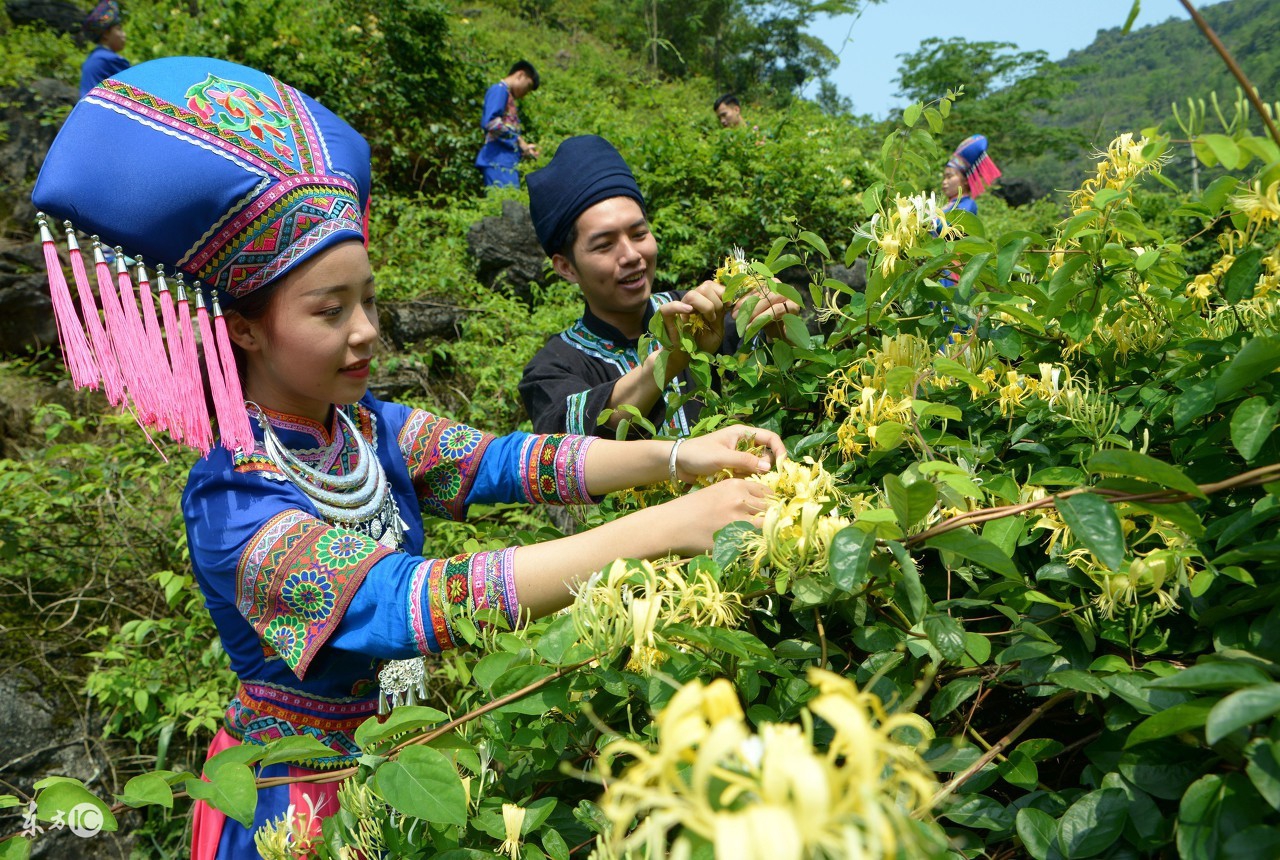 养不起丈夫，枉做一世女人！壮族姑娘都这么豪迈吗？