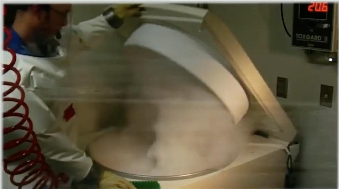 永生之物各个体质获得方法,永生怎么获得