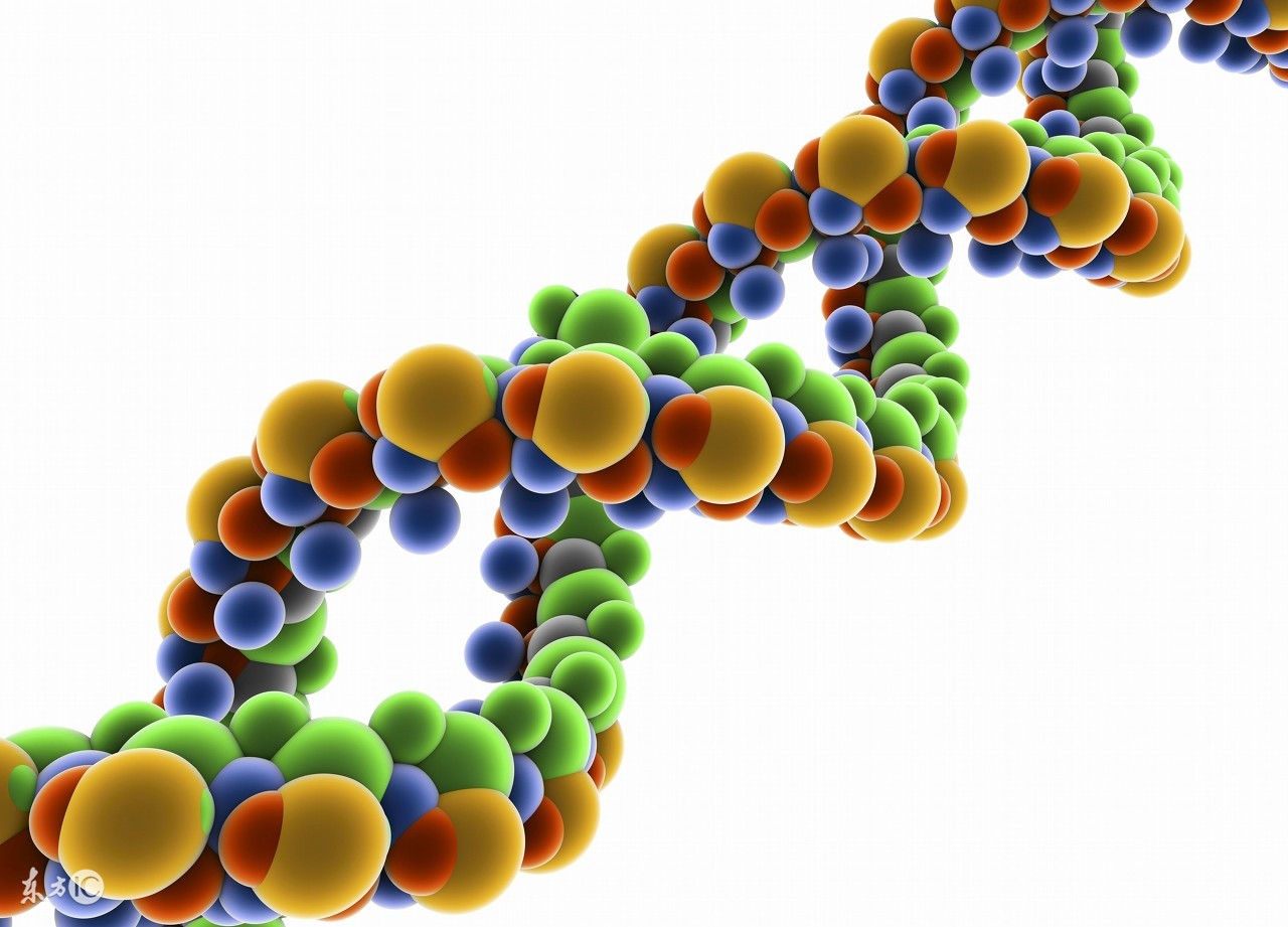 永生之物各个体质获得方法,永生怎么获得