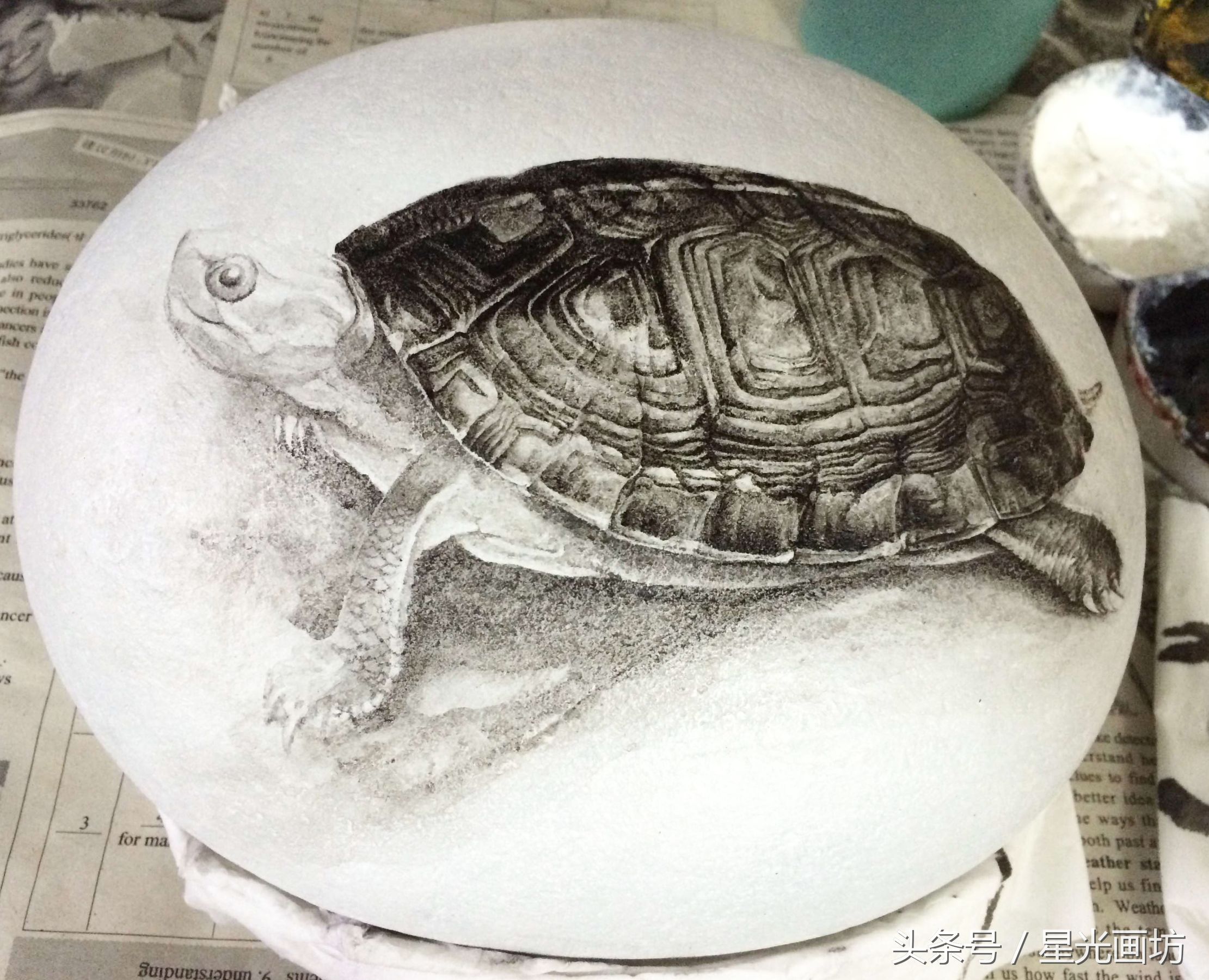 石头上画乌龟教程,龟石头画教程
