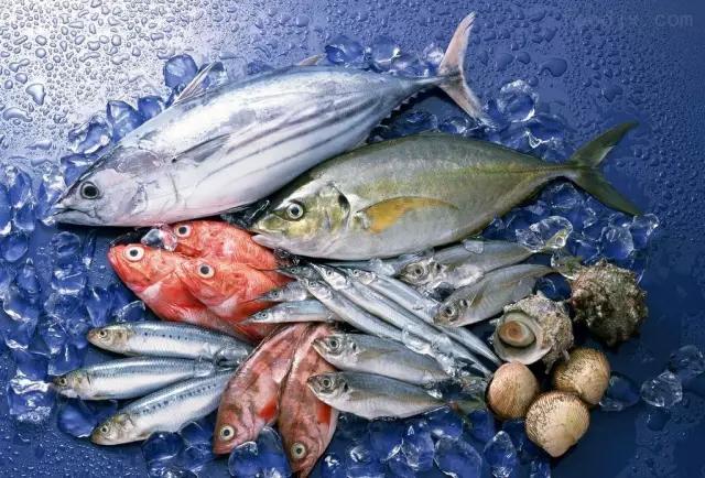 海鲜采购需要注意什么,海鲜采购防骗攻略