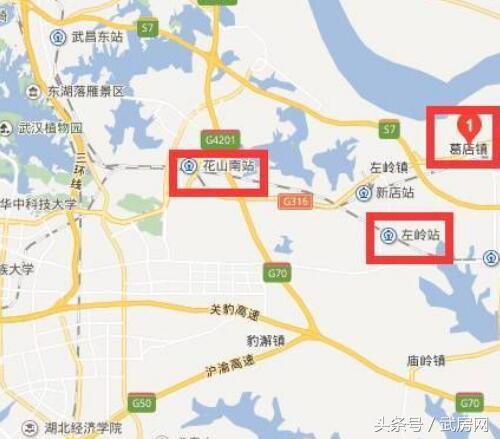 武汉买房葛店,在武汉上班在葛店买房怎么样