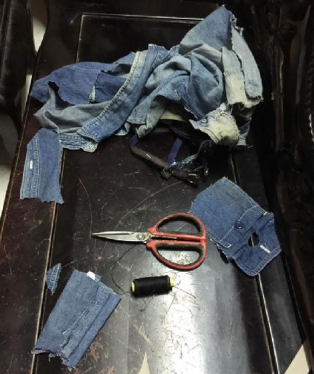 狗自己背的户外小背包,狗主人背包