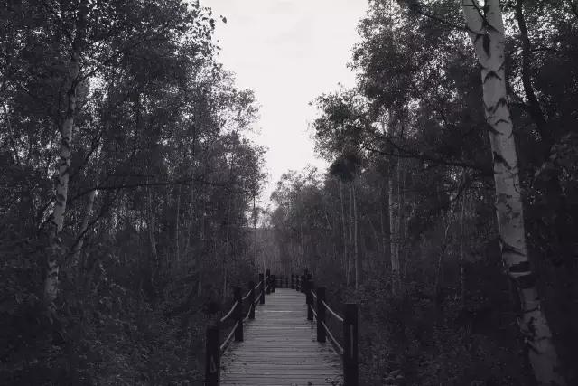 绥芬河对岸城市,绥芬河以北是哪