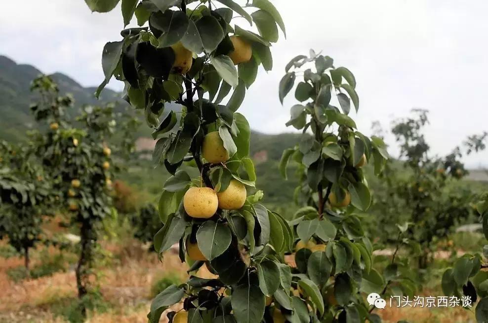 门头沟有山有水的野地,门头沟山里隐藏的别墅
