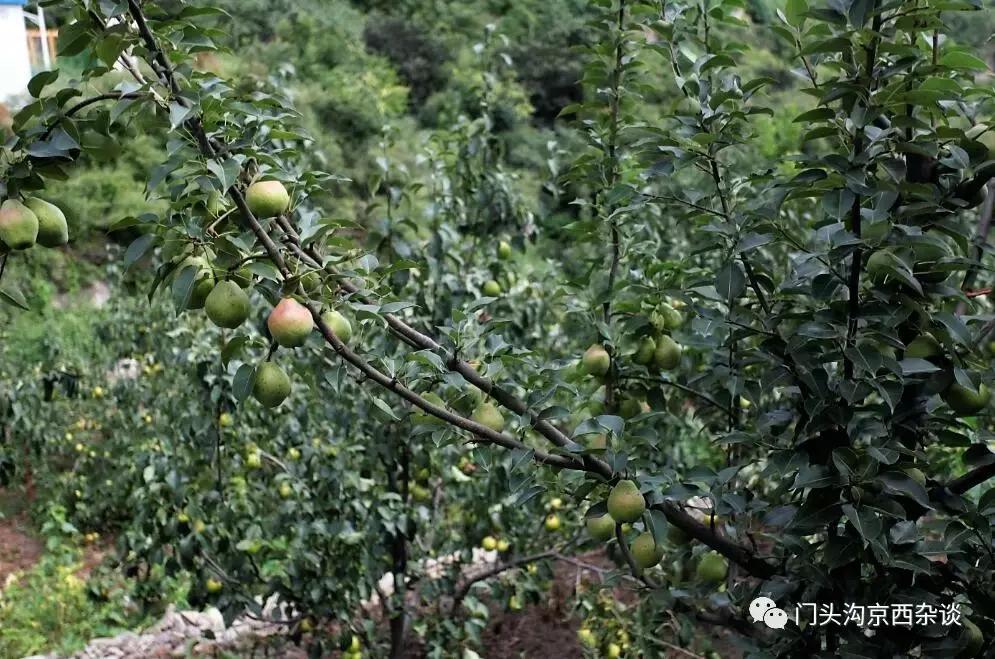 门头沟有山有水的野地,门头沟山里隐藏的别墅