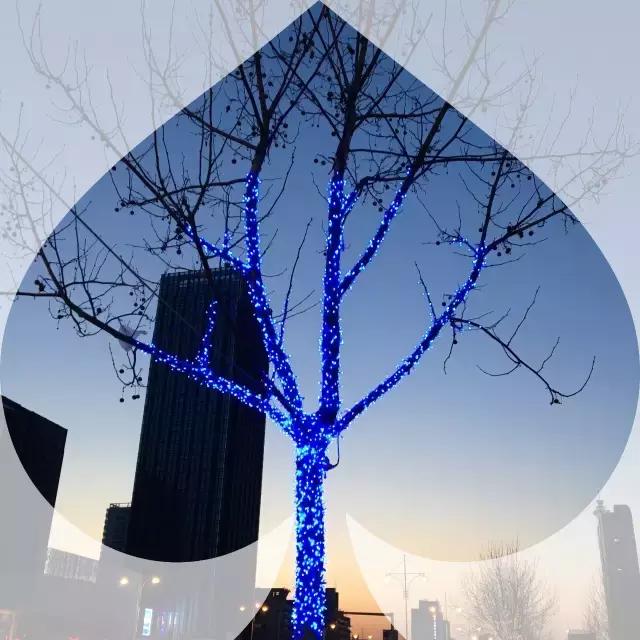 技巧：难得“糊”图，看不清楚也动人