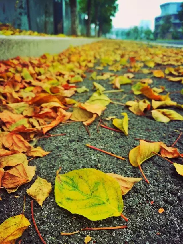 技巧：难得“糊”图，看不清楚也动人