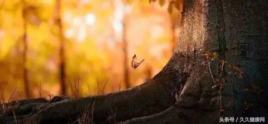 处暑节气的传统习俗及养生攻略,处暑养生常识简单介绍