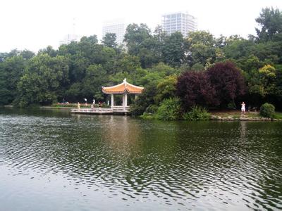 合肥房屋租赁新政策,合肥租赁房政策