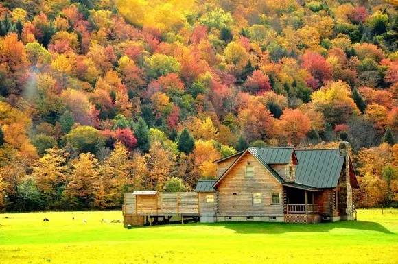 枫叶旅游拍照技巧,春季赏枫叶拍照技巧