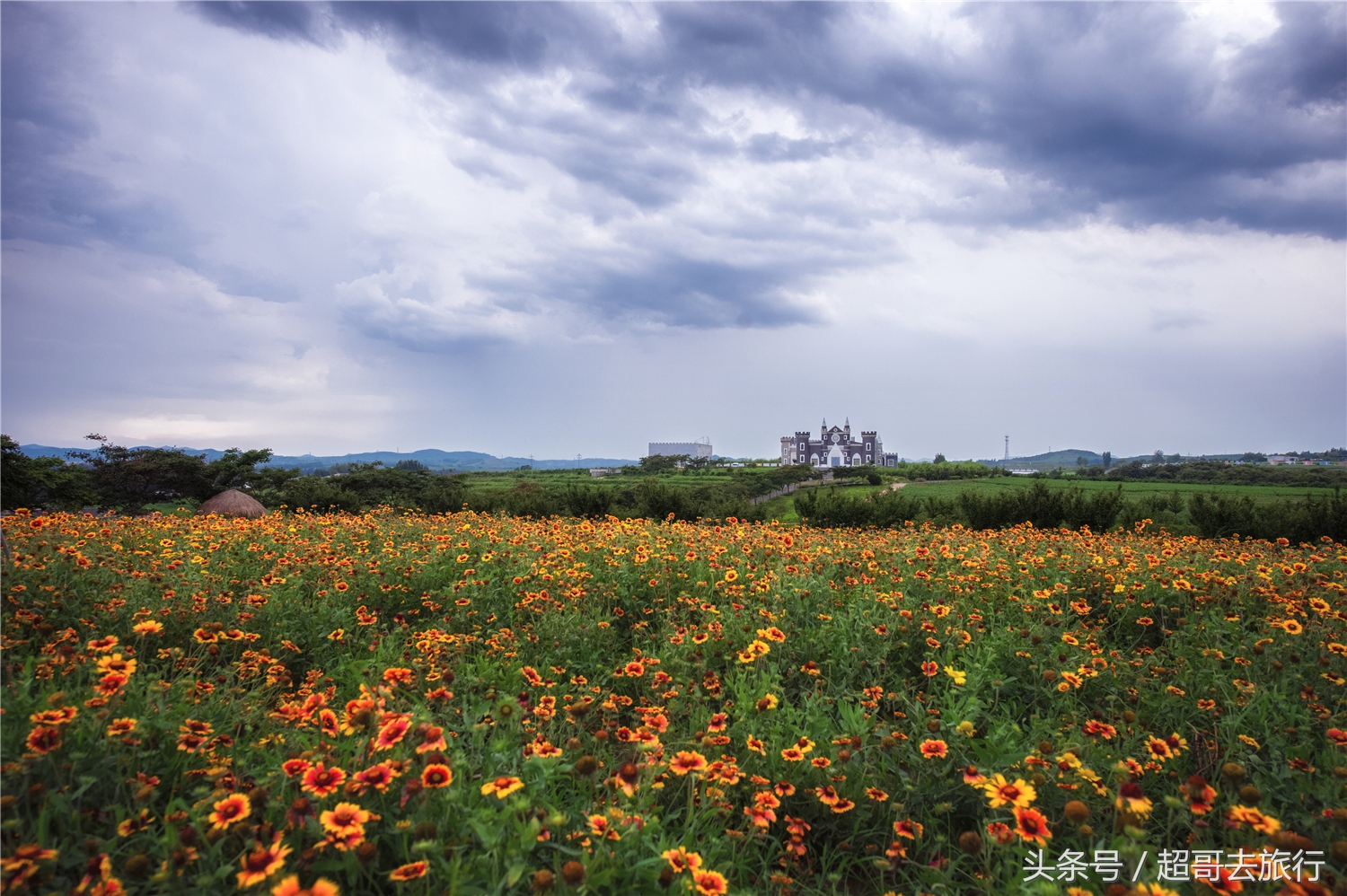 日照花仙子风景区团购,日照花仙子风景区为什么拆了