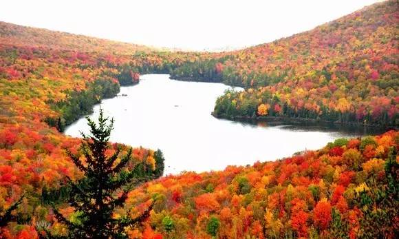 枫叶旅游拍照技巧,春季赏枫叶拍照技巧