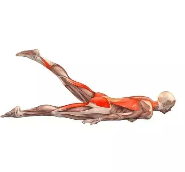 紧致臀腿塑形训练方法,梨形臀腿咋练