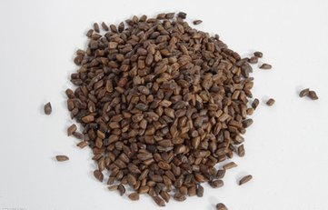 小孩鼻源性头疼如何缓解,孩子头痛却查不出原因