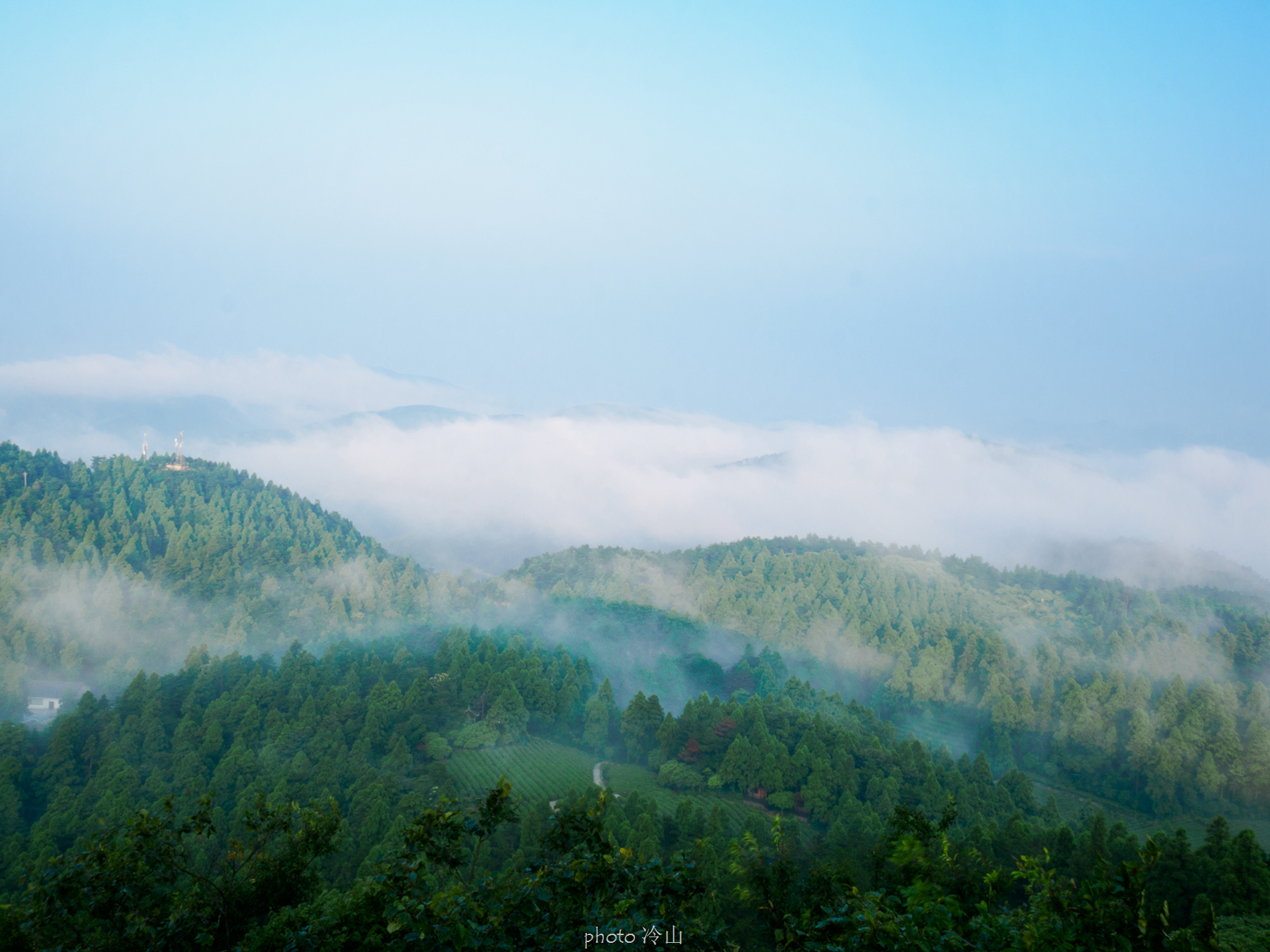 华顶千年杜鹃林,天台山石梁瀑布华顶杜鹃