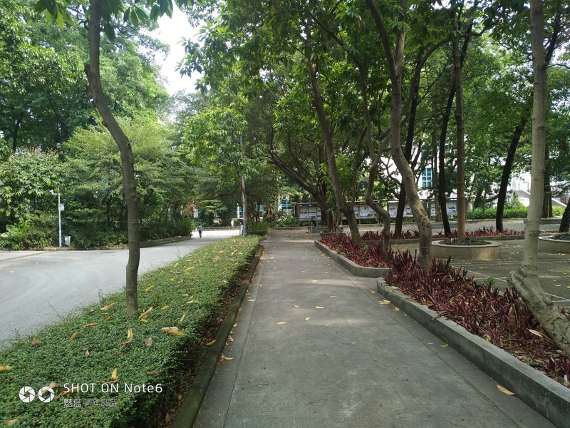 2020年的魅蓝note6好吗,魅蓝note6缺点曝光