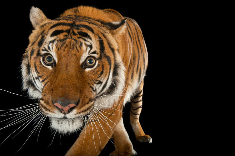 什么是养生的保健基础,你知道什么是真正健康吗