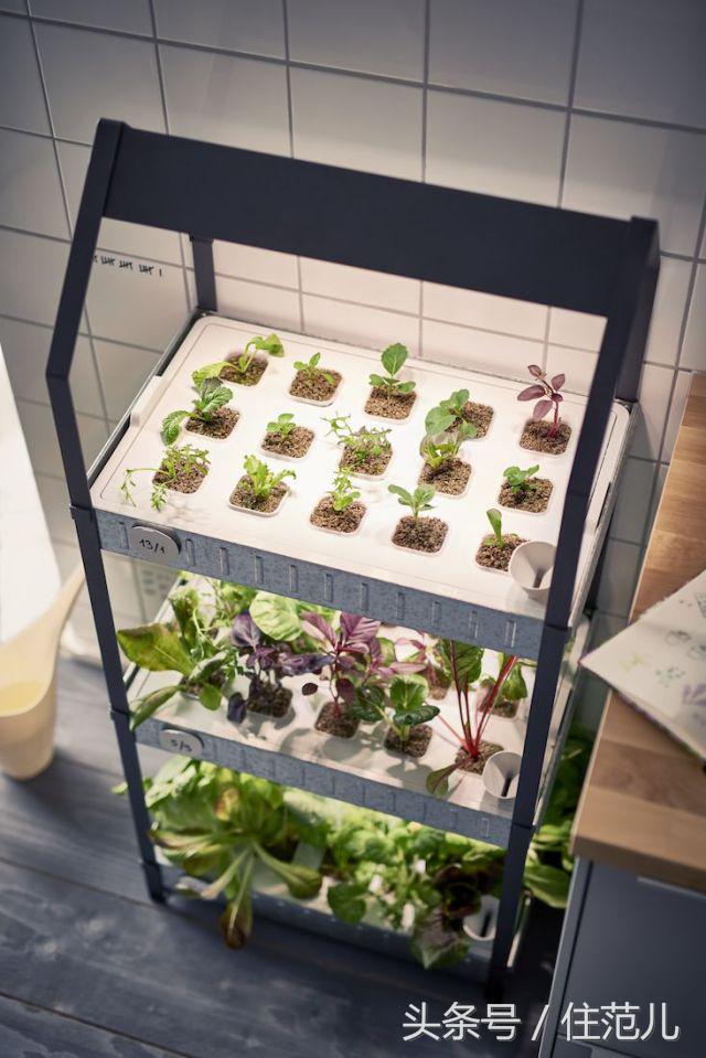 宜家十大不值得购买的东西,宜家东西好不好