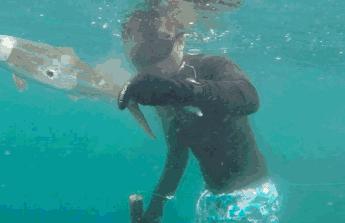 在菲律宾一种黑暗料理穷人每天吃,菲律宾人吃什么食物