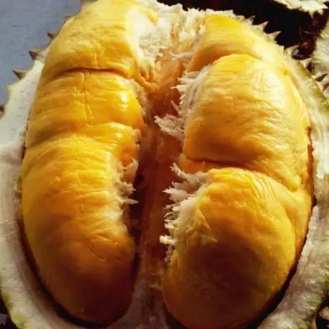 马来西亚各种榴莲名称,马来榴莲品种介绍