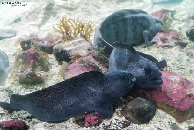 梦幻天堂挪威十四天自驾大穿越,挪威小环线自驾游