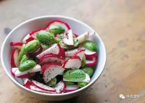 迷你农业怎么做,网红迷你农业怎么玩