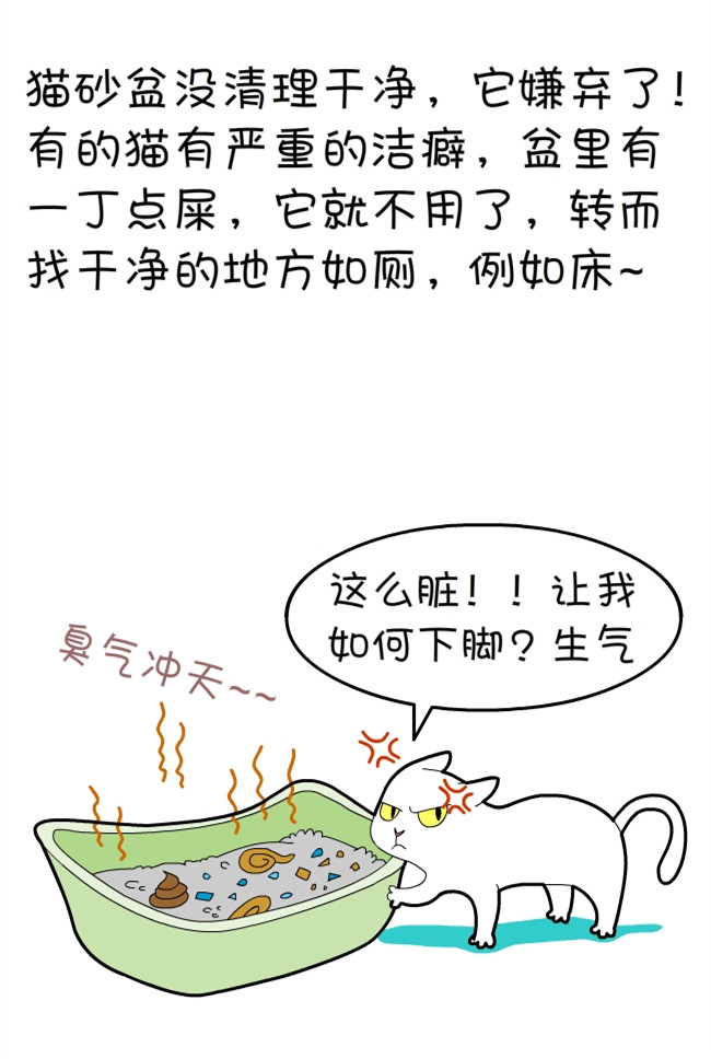 猫咪和铲屎官的幸福生活漫画,猫狗铲屎官漫画