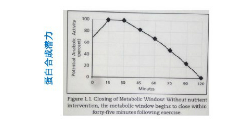 什么牌子的蛋白粉最好,如何选择优质蛋粉