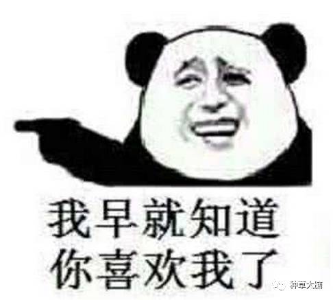 风很大其实不好用的产品,风大但是不好用的产品