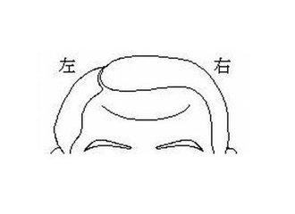 从额头看寿命,从额头看人