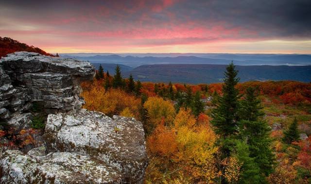 枫叶旅游拍照技巧,春季赏枫叶拍照技巧