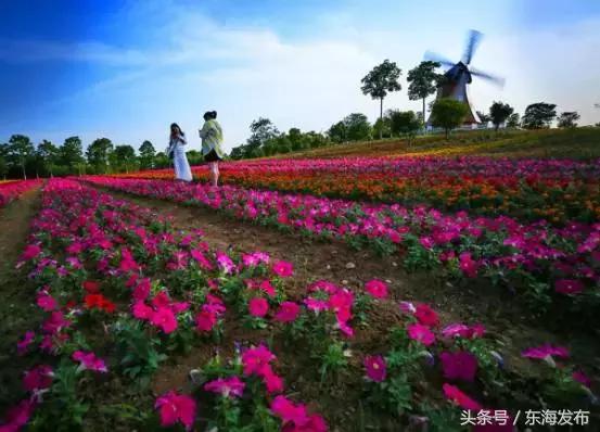 文明创建创文路上最美的风景,创文之窗创建全国文明城市倡议书