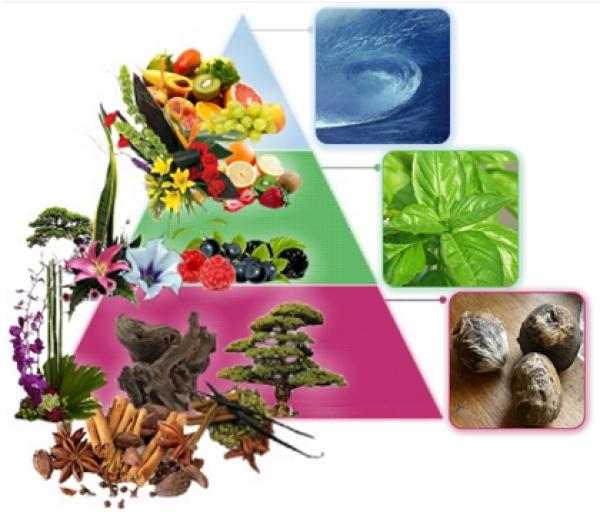 从零开始入门到精通的知识,入门基础知识从零开始