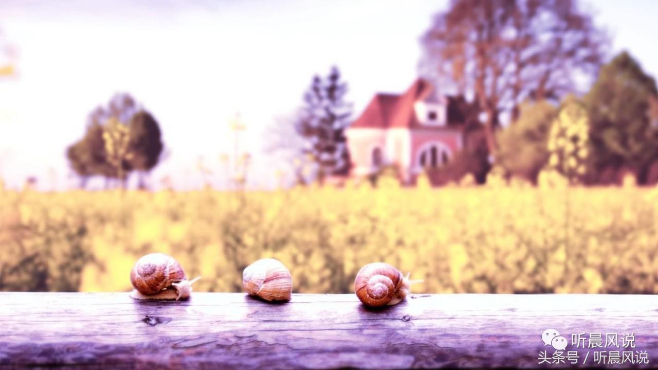 音频爱情故事,情感音乐与精彩故事