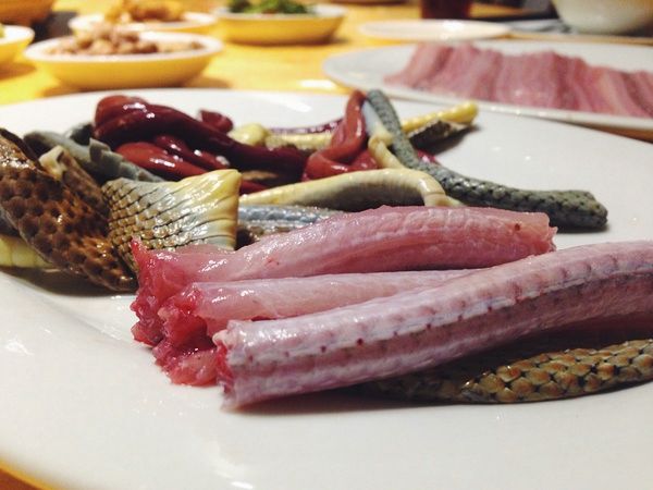 美女钓鱼高手钓110斤大鱼,美女钓鱼野钓上鱼瞬间