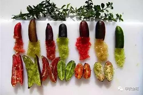 迷你农业怎么做,网红迷你农业怎么玩