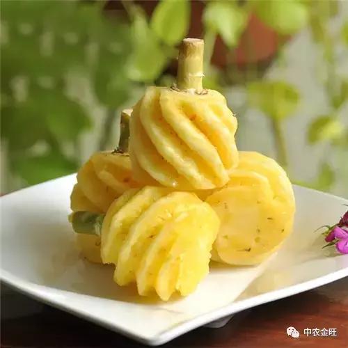 迷你农业怎么做,网红迷你农业怎么玩